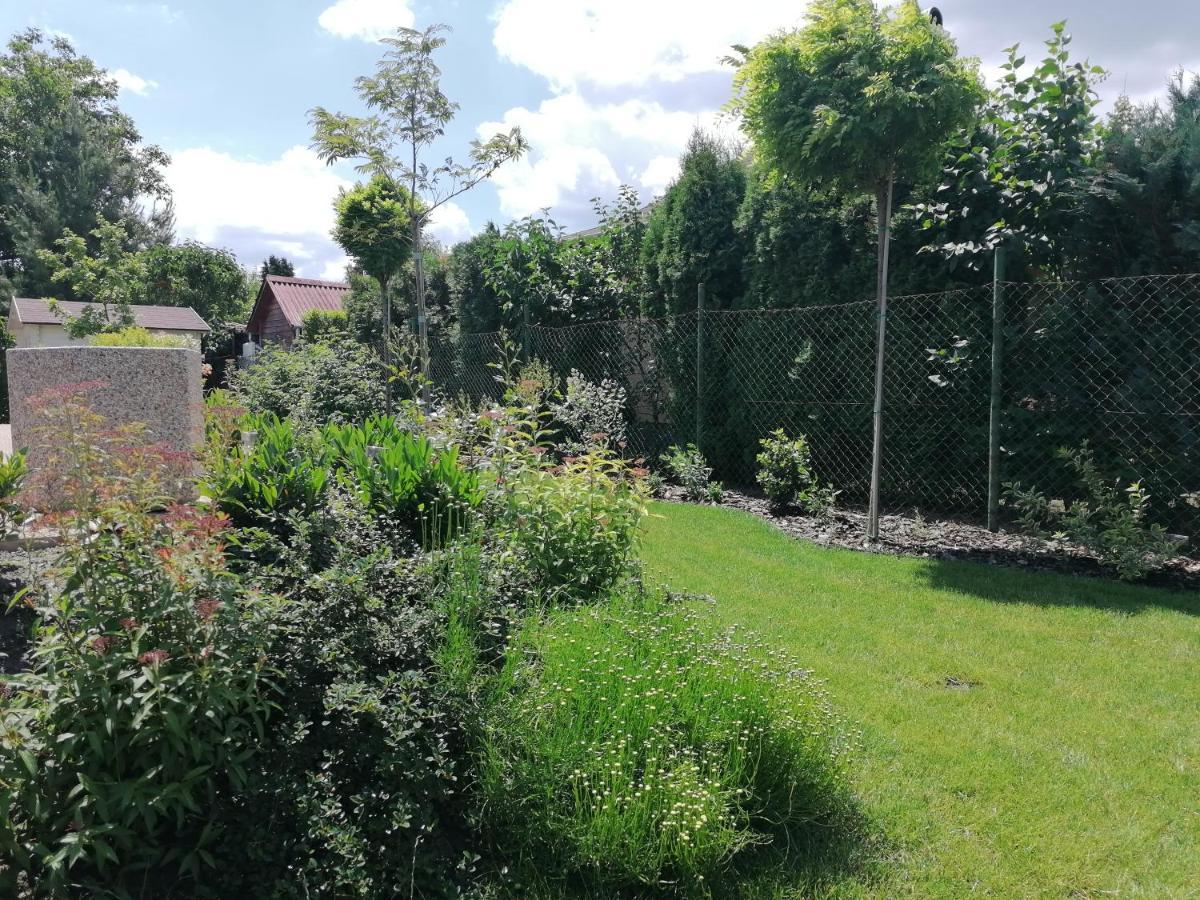 Levelke Mini Apartman Gardony Bagian luar foto