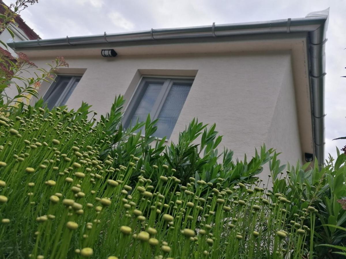 Levelke Mini Apartman Gardony Bagian luar foto