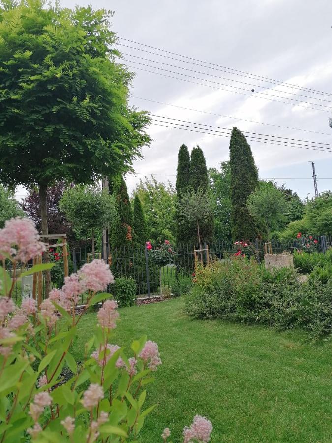 Levelke Mini Apartman Gardony Bagian luar foto